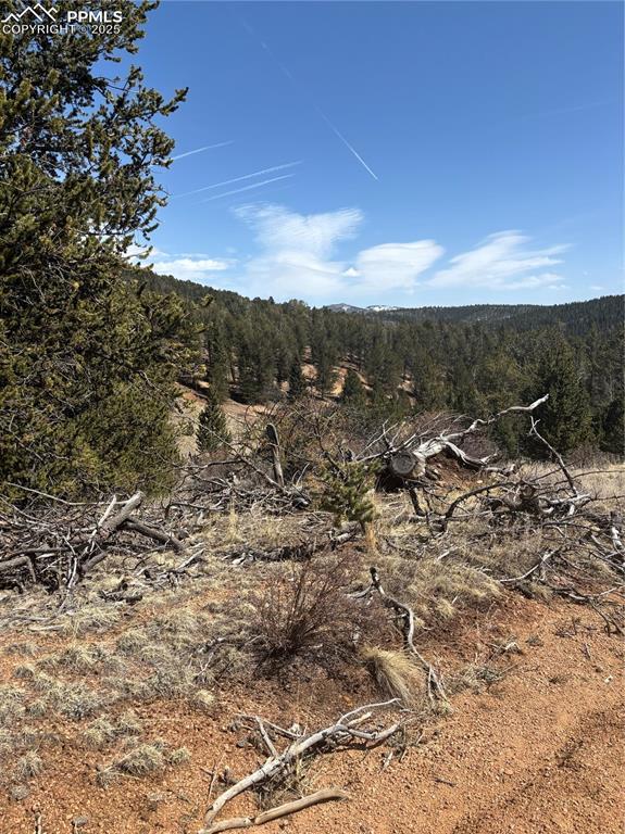 70 Brown Bear Ln, Cripple Creek, CO 80813