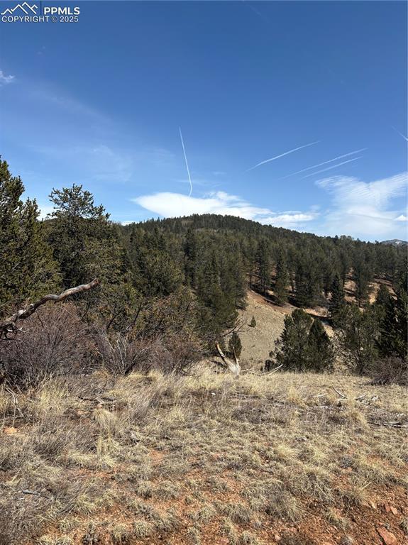 70 Brown Bear Ln, Cripple Creek, CO 80813