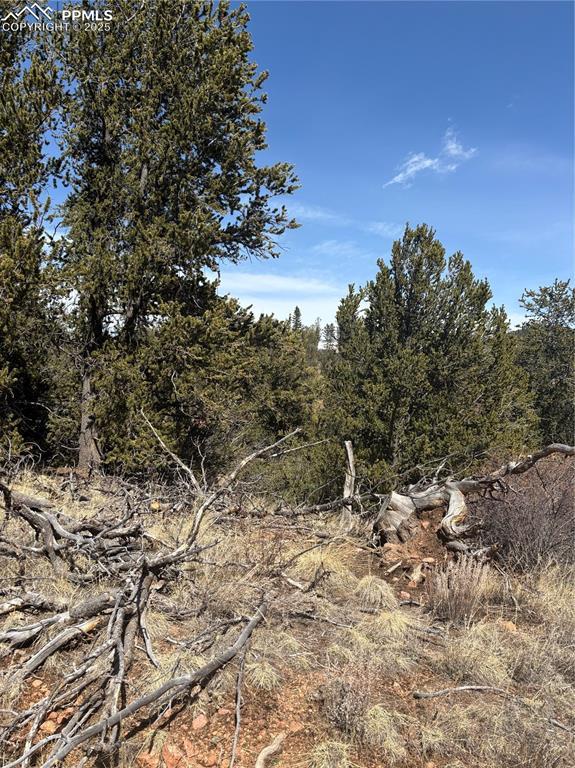 70 Brown Bear Ln, Cripple Creek, CO 80813