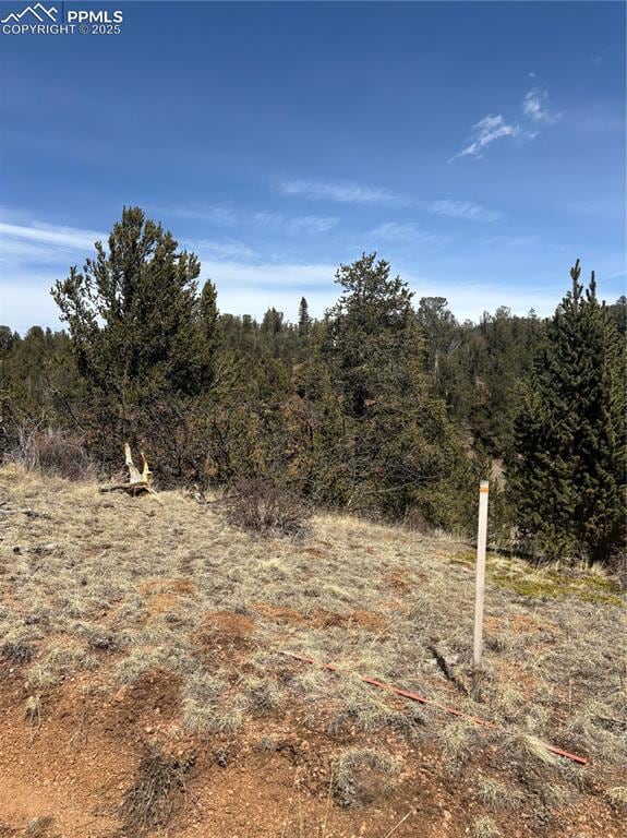 70 Brown Bear Ln, Cripple Creek, CO 80813