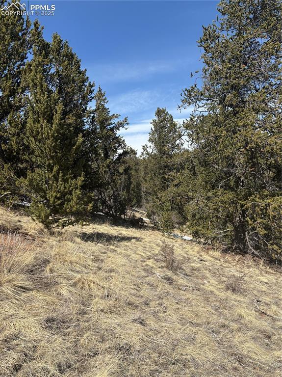 70 Brown Bear Ln, Cripple Creek, CO 80813