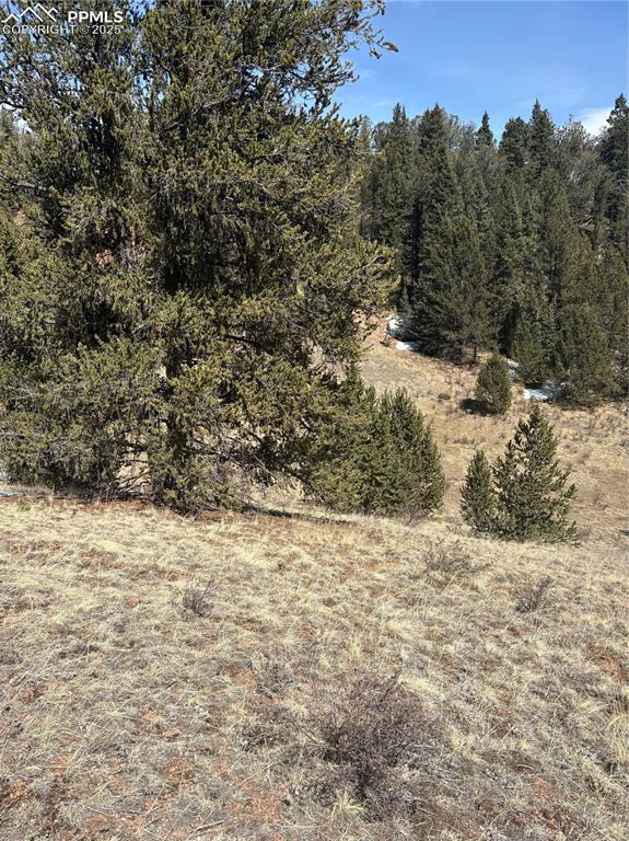 70 Brown Bear Ln, Cripple Creek, CO 80813