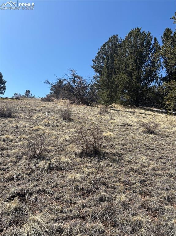 70 Brown Bear Ln, Cripple Creek, CO 80813