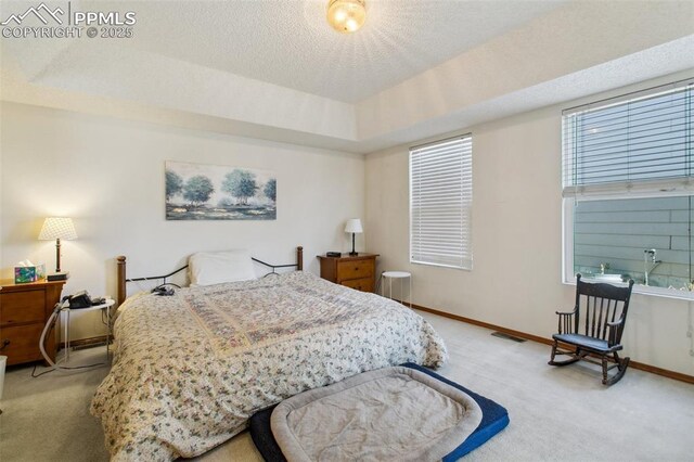 6627 Wagon Ridge Dr, Colorado Springs, CO 80923 - bedroom with baseboards, carpet flooring, a textured ceiling, visible vents, and a tray ceiling
