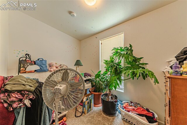 735 E Vermijo Ave, Colorado Springs, CO 80903 - bedroom with carpet