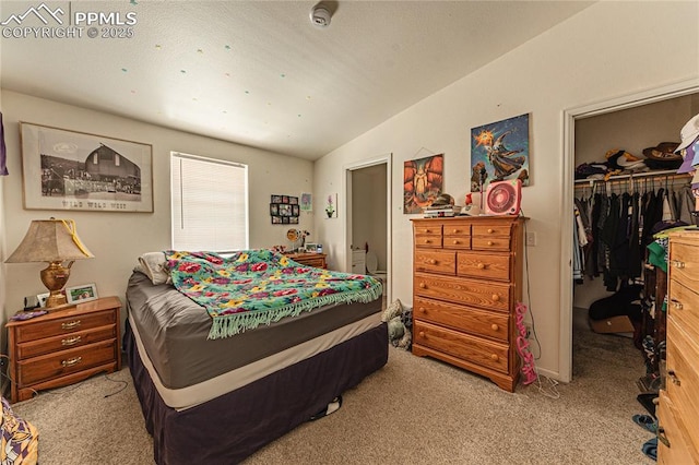 735 E Vermijo Ave, Colorado Springs, CO 80903 - bedroom with a walk in closet, light carpet, lofted ceiling, and a closet