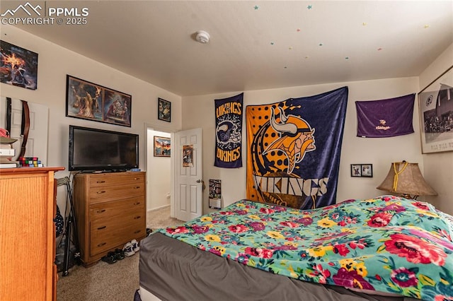735 E Vermijo Ave, Colorado Springs, CO 80903 - bedroom with carpet flooring