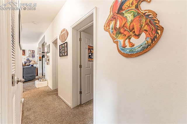 735 E Vermijo Ave, Colorado Springs, CO 80903 - corridor with carpet