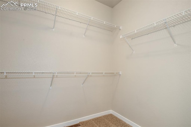 spacious closet featuring carpet flooring and visible vents