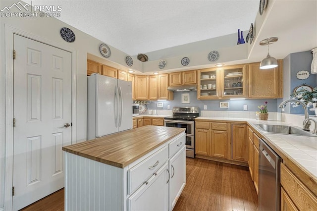 kitchen featuring appliances with stainless steel finishes, a sink, under cabinet range hood, dark wood-style floors, and glass insert cabinets