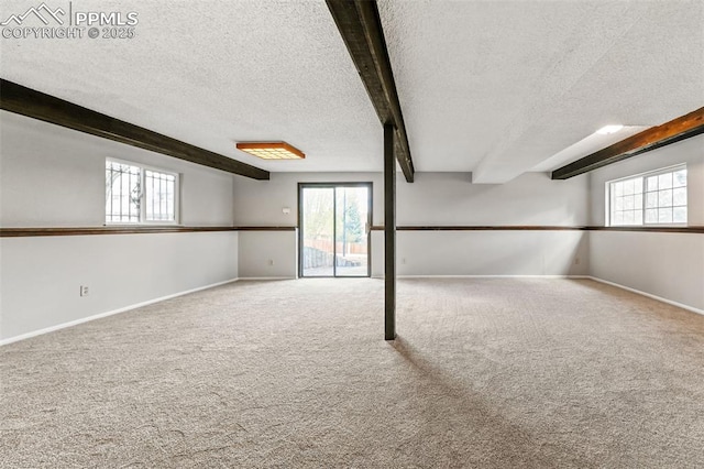 365 Waco Ct, Colorado Springs, CO 80919 - basement featuring a healthy amount of sunlight, carpet, and a textured ceiling