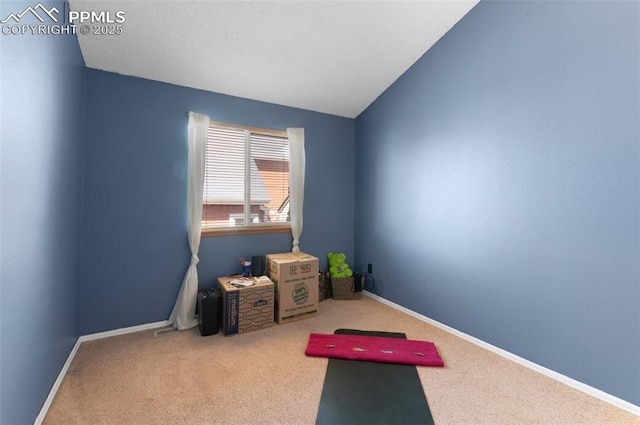 3828 Breaking Dawn St, Colorado Springs, CO 80925 - exercise room with carpet flooring and baseboards