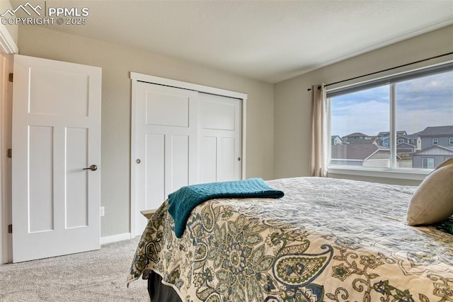 bedroom featuring carpet flooring, a closet, and baseboards