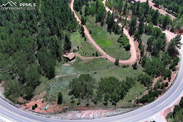 bird's eye view