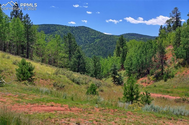 property view of mountains with a view of trees