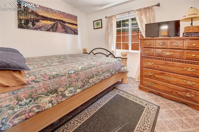 bedroom featuring carpet floors