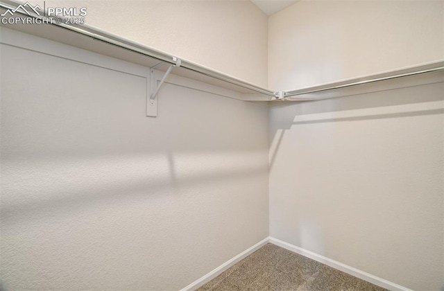 5033 Baseline Vw, Colorado Springs, CO 80920 - spacious closet with carpet flooring
