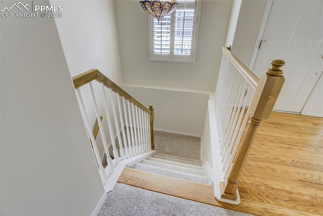 5584 Sonnet Hts, Colorado Springs, CO 80918 - stairway with baseboards, carpet, and a chandelier