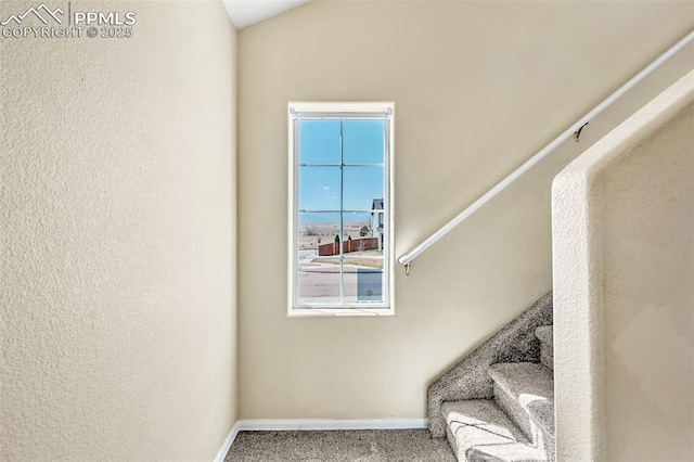 staircase featuring baseboards and carpet
