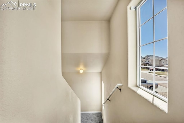 stairway with carpet floors, a healthy amount of sunlight, and baseboards