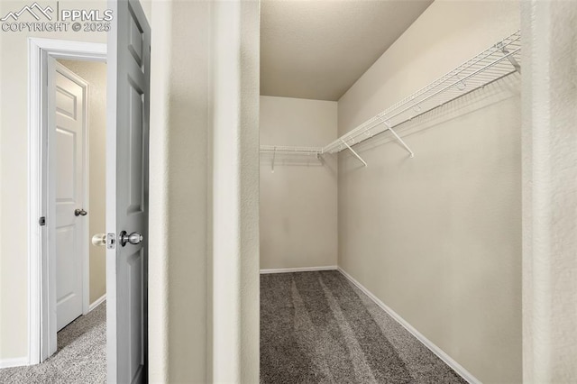 walk in closet with carpet
