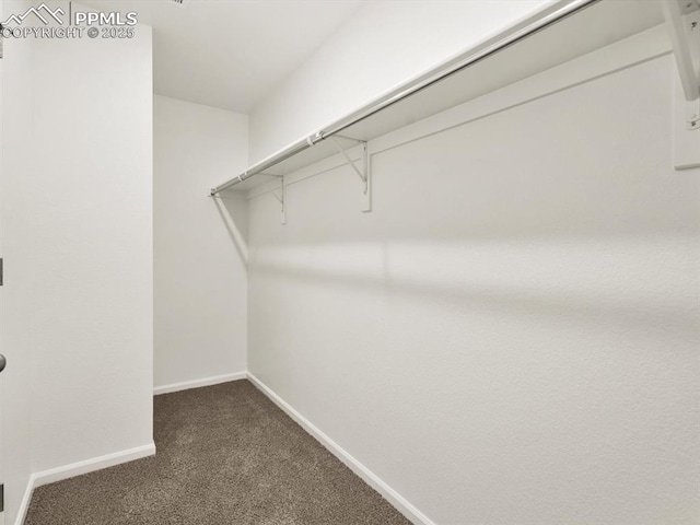 spacious closet with dark carpet
