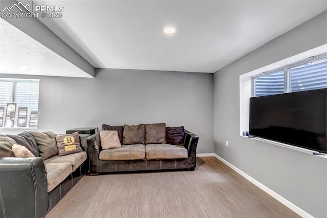 4626 Hotspur Dr, Colorado Springs, CO 80922 - living room with baseboards, wood finished floors, and recessed lighting