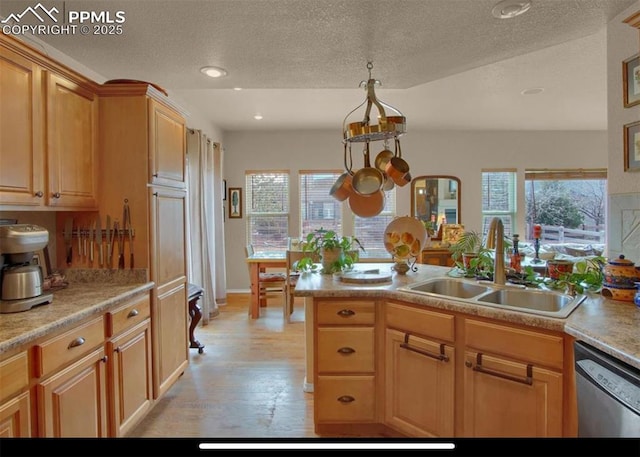 8723 Stony Creek Dr, Colorado Springs, CO 80924 - kitchen with a sink, dishwasher, light wood-style floors, plenty of natural light, and a textured ceiling