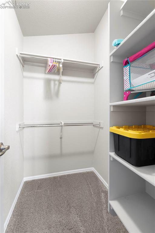 955 S Los Charros Dr, Pueblo West, CO 81007 - walk in closet featuring carpet flooring
