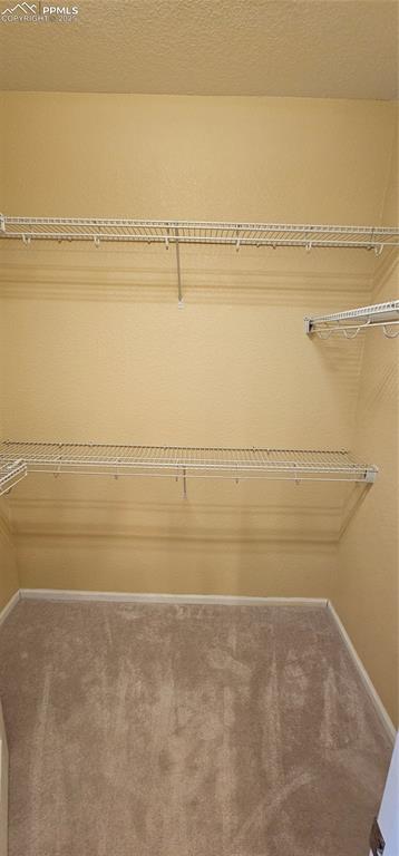 spacious closet with carpet flooring