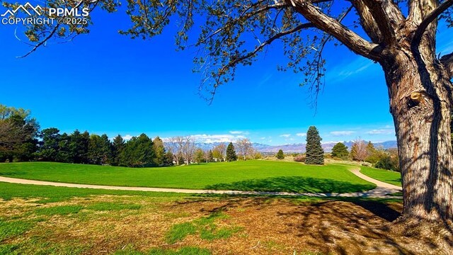 5125 Thistle Ct, Colorado Springs, CO 80917 - view of property's community featuring a lawn and a mountain view