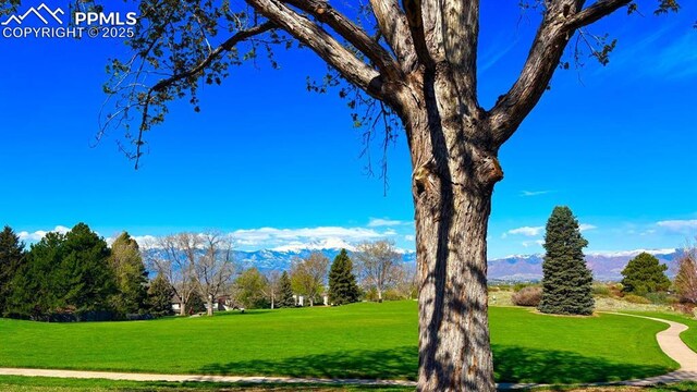 5125 Thistle Ct, Colorado Springs, CO 80917 - surrounding community featuring a mountain view and a lawn