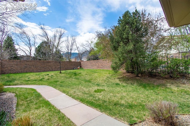 view of yard featuring a fenced backyard