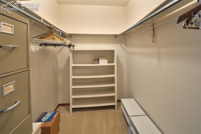 spacious closet with carpet floors