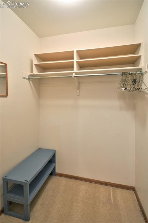 walk in closet with carpet