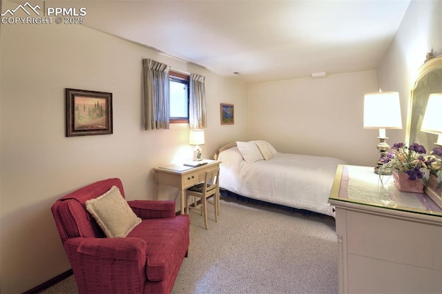view of carpeted bedroom