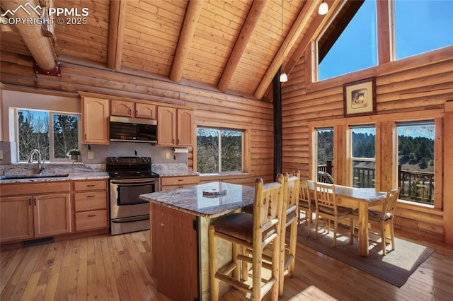 876 Obsidian Dr, Florissant, CO 80816 - kitchen featuring stainless steel appliances, beam ceiling, a sink, and wood ceiling