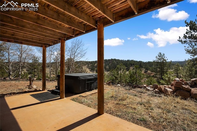 876 Obsidian Dr, Florissant, CO 80816 - view of patio with a hot tub and a view of trees