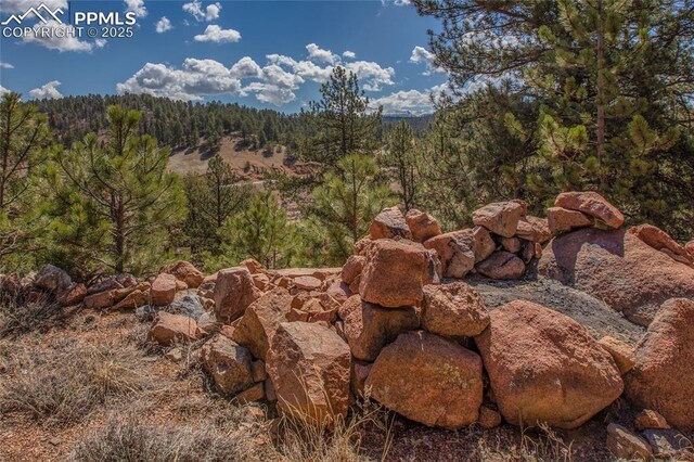876 Obsidian Dr, Florissant, CO 80816 - property view of mountains featuring a view of trees