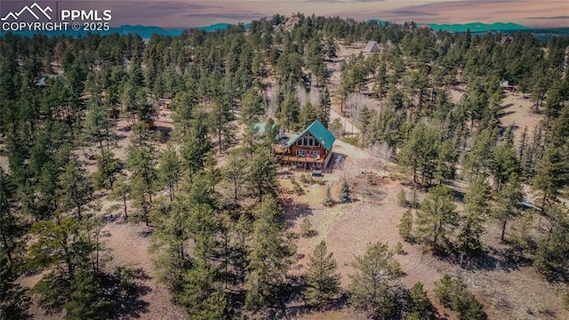 876 Obsidian Dr, Florissant, CO 80816 - bird's eye view featuring a wooded view