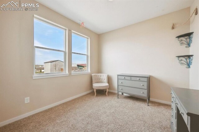 living area with carpet, baseboards, and plenty of natural light