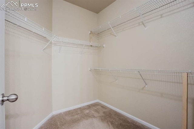 7935 Morning Dew Rd, Colorado Springs, CO 80908 - walk in closet with carpet floors