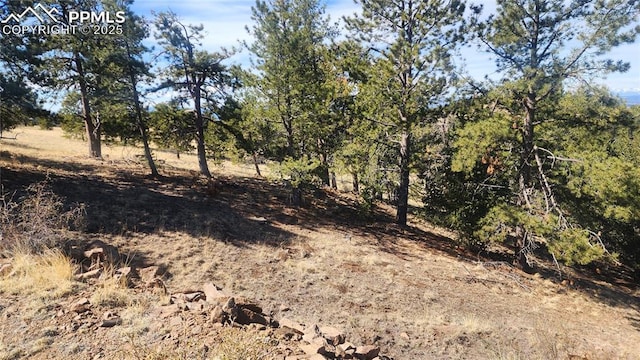 view of undeveloped land