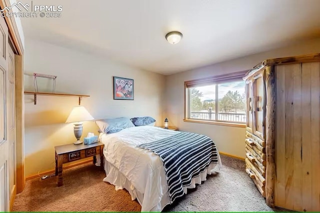 bedroom featuring baseboards and carpet floors