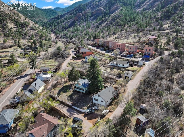 birds eye view of property featuring a mountain view