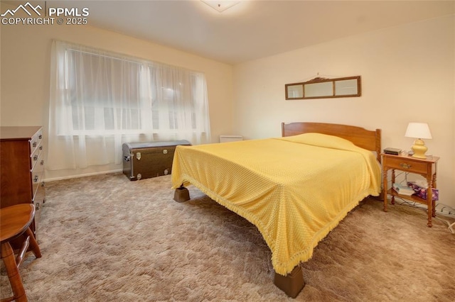 2354 Valley Forge Rd, Colorado Springs, CO 80907 - bedroom featuring carpet floors
