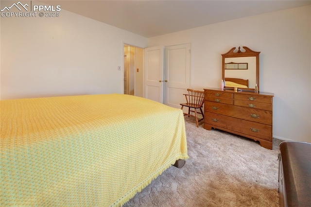 2354 Valley Forge Rd, Colorado Springs, CO 80907 - bedroom with a closet and light carpet