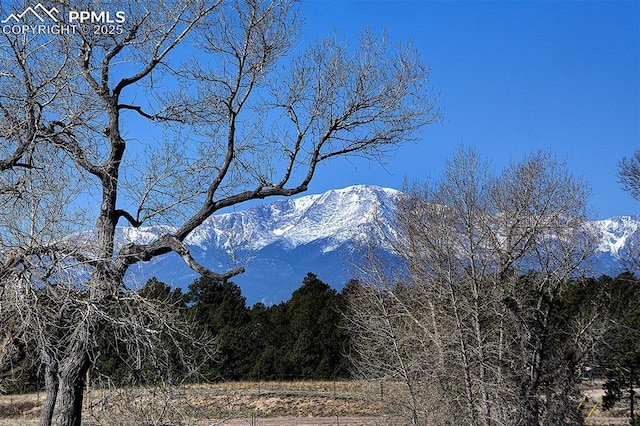 property view of mountains featuring a view of trees