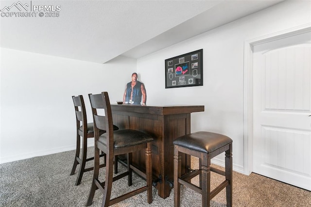 indoor dry bar with carpet and baseboards