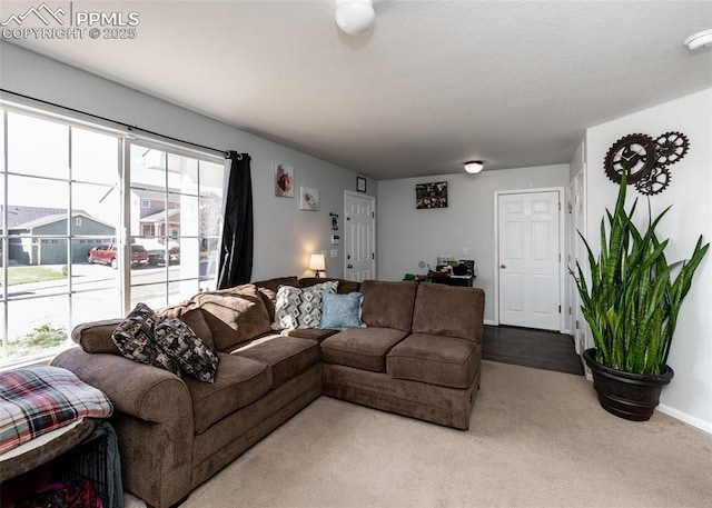 1536 Ancestra Dr, Fountain, CO 80817 - carpeted living room with baseboards